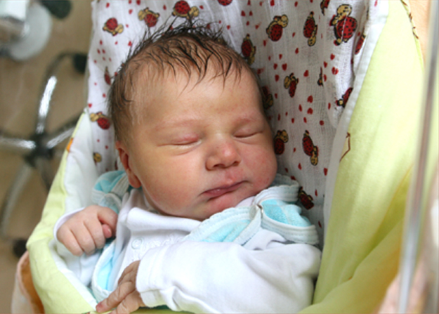 Grześ Łosik Grześ Łosik