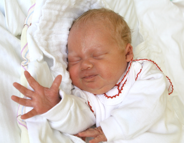 Małgosia Śwircz Małgosia Śwircz