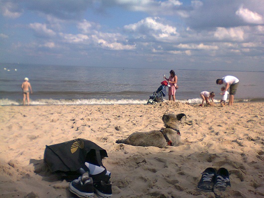 Foto Natalia Biniaszewska